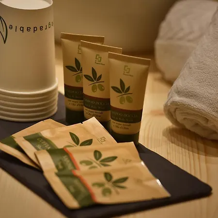 酒店 Valtellina 利维尼奥